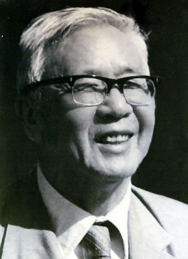 著名数学家陈景润,47岁娶29岁女军医,唯一的儿子现在发展怎样?-