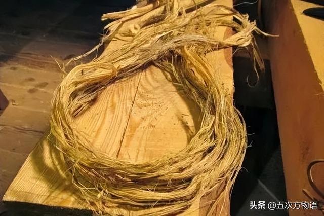 五蠹是哪五个，指的是哪五蠹？之首是儒术吗（中国麻类作物大全）