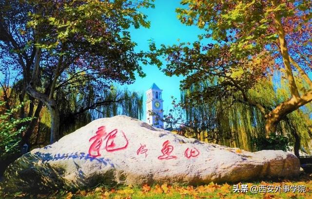 西安外事学院专业，西安外事学院最好的专业是什么（西安外事学院2022年专升本招生专业对应目录）