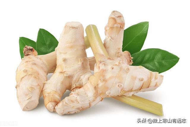 干姜和生姜的区别，生姜和干姜的区别（来自姜科家族的中药）