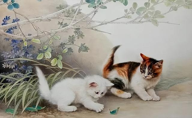 猫肉好吃吗，猫肉的十种吃法（原来李时珍已告诉我们答案）