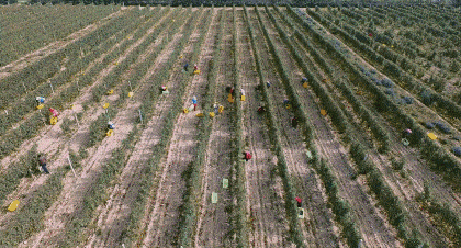 宁夏是哪个省份的城市，宁夏是哪个省（叫不出名字的宁夏首府）