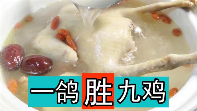 炖鸽子汤的最佳配料，炖鸽子汤放什么材料好吃最补身体（最营养最好吃煲鸽子汤的做法）