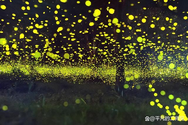 山东沂水有哪些景点介绍，临沂——经典好玩的地方都有哪些
