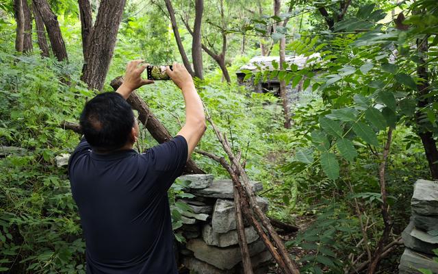 细芦子藤的功效与作用，青藤子的功效与作用（让石头“说话”房山考古专家耗十年著成875件碑刻通志）