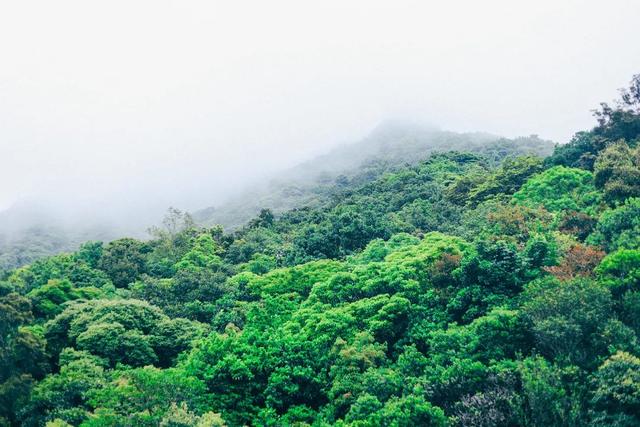 深圳好玩的免费景点，深圳哪里好玩的景点（来深圳这10个地方免费玩）