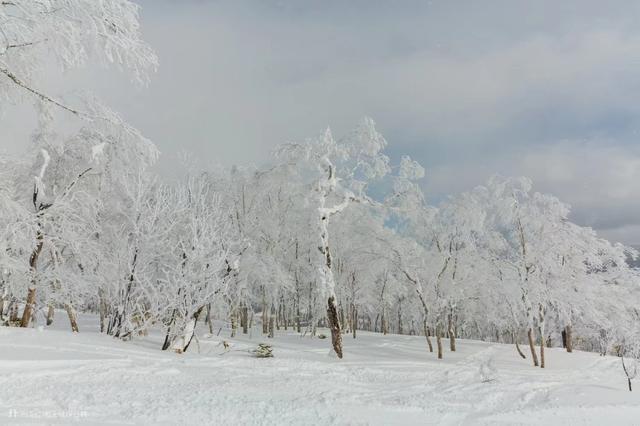 日本滑雪胜地推荐，日本TOP5滑雪胜地大揭秘