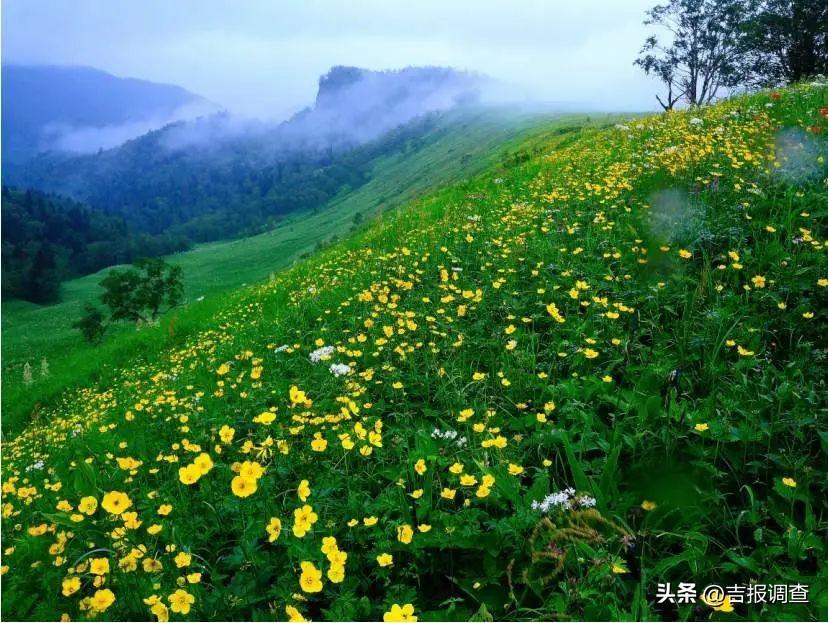 长白山温度()