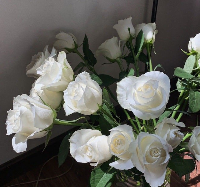 简单的花语文案，关于花的文案“做个浪漫人”