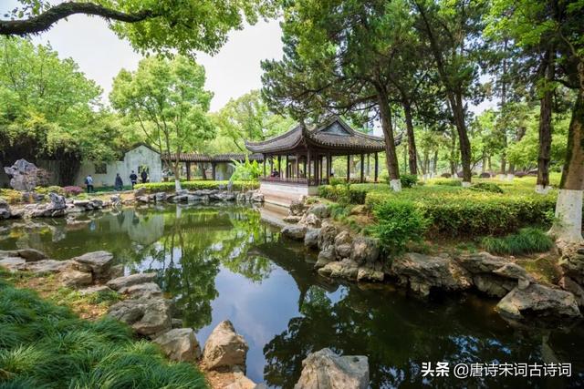 梅子黄时日日晴，梅子黄时日日晴全诗的意思（初夏风光好，绿阴已长成）