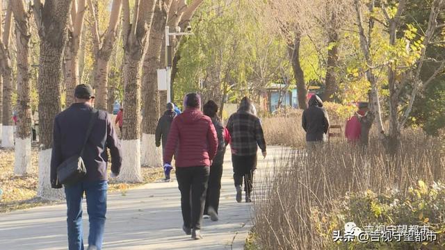 健身工作室名字，高端的健身工作室名字（室外健身房！岱山公园等你来）