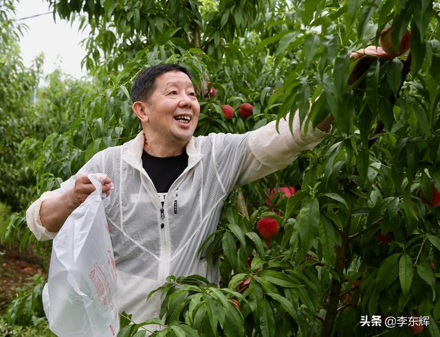 同学聚会说说幽默短句，同学聚会搞笑短句（快乐时光总是那么美好）