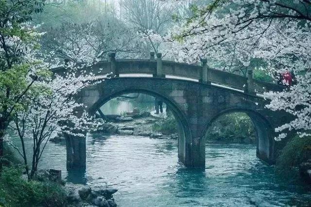 长安折柳诗句，两首折柳寄情的唐诗七绝