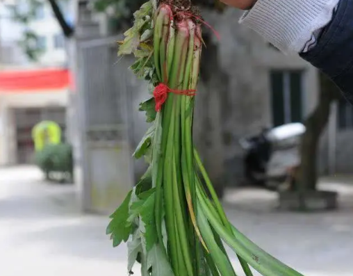 粽子有哪些寓意，粽子寓意（牢记这5大民间习俗）