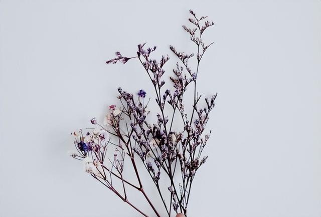 喜欢又不想在一起是什么心理，喜欢但是不想在一起的心理（好像不够爱，却又舍不得分开）