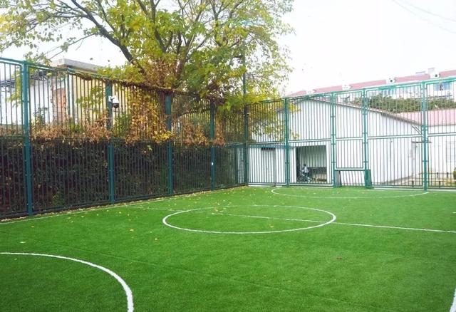 足球禁区在哪个位置，足球禁区尺寸图（“螺蛳壳里做道场”的笼式足球你了解吗）