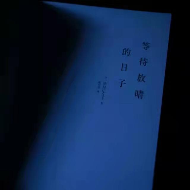 意难平的英文缩写，Yi Nan Ping意难平（emo又让人意难平的文案网名）