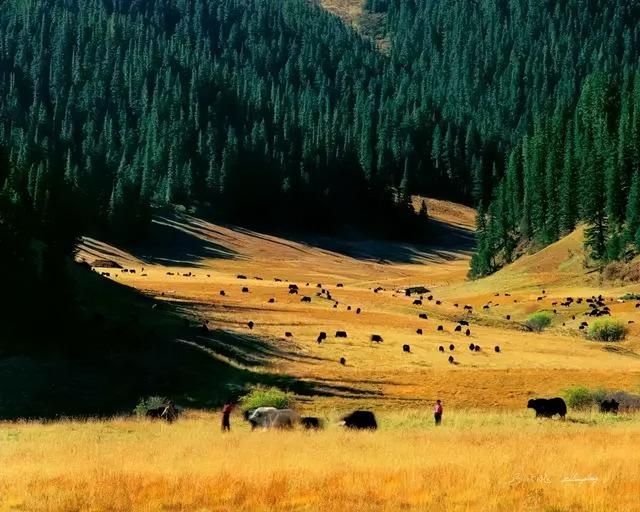 世界旅游日是哪天，世界旅游日是哪一天（这个秋天我们一起出发）