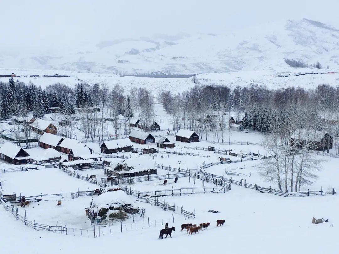 关于雪的诗句古诗名句，描写大雪的诗句古诗大全