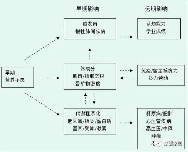 怀孕前需要补什么营养，怀孕前需要补什么营养素（备孕期间补充什么营养）