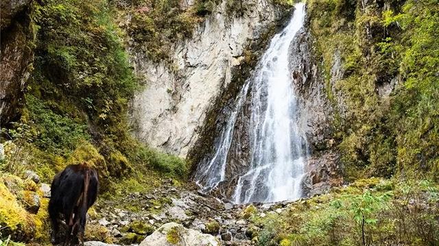 成都周边一日游，成都周边一日游风景好的地方推荐（山野间“粽”情享受）