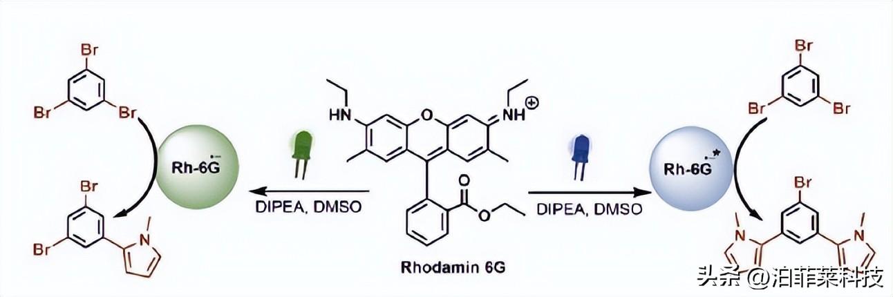 菲莱（泊菲莱光化学合成定制化解决方案）