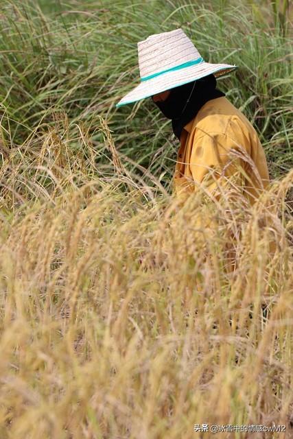 女人最经典的一句话，女人话经典语录（农村女人的经典）