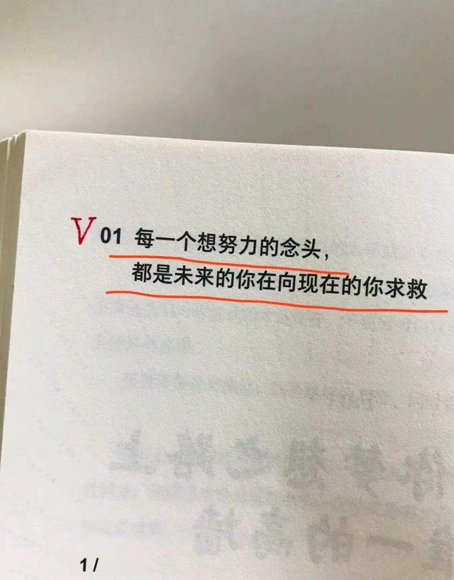 生活过于平静没有惊喜也没有意外，这世间的温柔在等你。