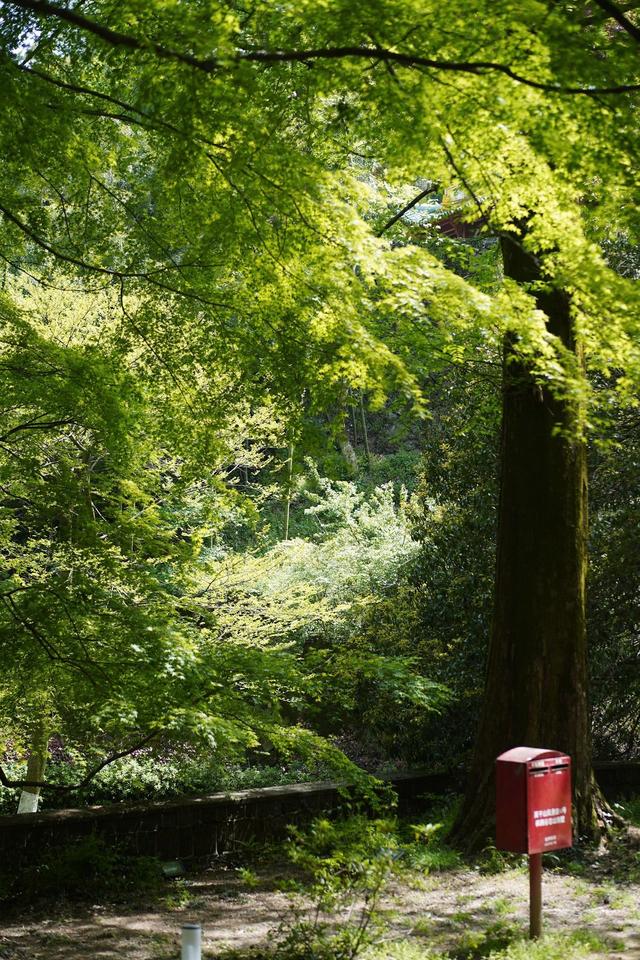 跑了10多次莫干山总结的2天1夜避暑线路