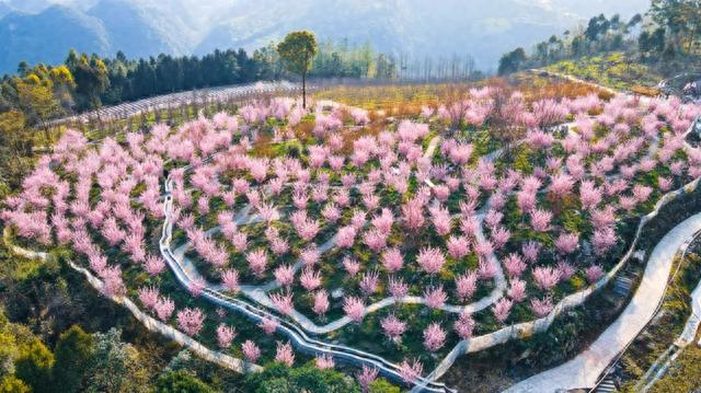 乐山天池景观，来乐山这30个免费景点就够了