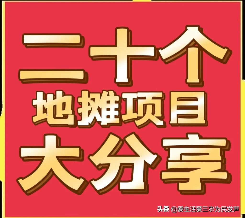 发财好项目(今年赚钱的好项目有哪些)