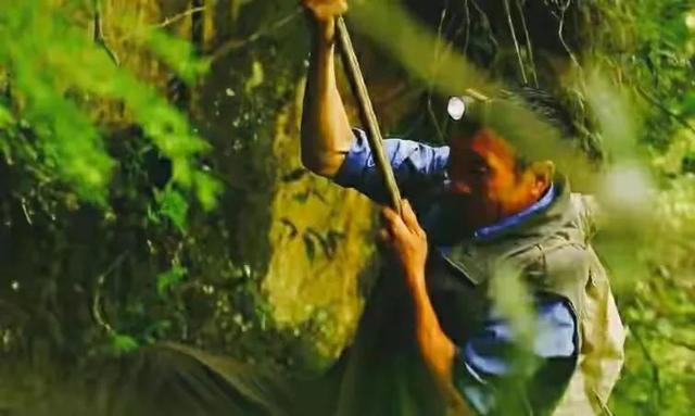 一般燕窝的价格多少钱一克，燕窝通常多少钱一克（儿子却上工地也不学采燕窝）