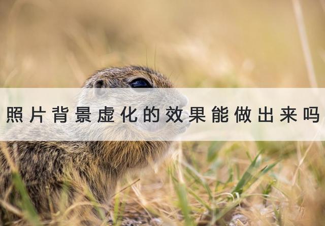 怎么虚化照片背景，如何把照片背景虚化（照片背景虚化的效果能做出来吗）