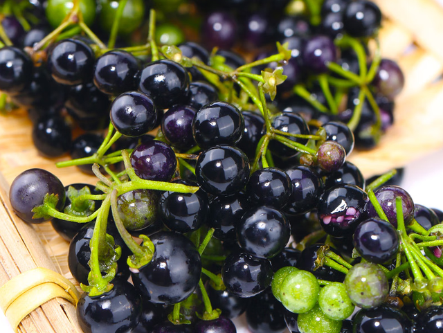 黑泡果的功效与作用,泡泡果的功效与作用(农村1种植物)