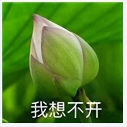 微信头像｜精选朋友圈优质头像，精选优质微信头像大全（头像 ， 朋友圈里最靓的头像）