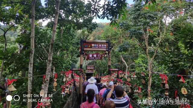 呀诺达热带雨林，呀诺达雨林文化旅游区官网（呀诺达景区探寻热带雨林奇观）