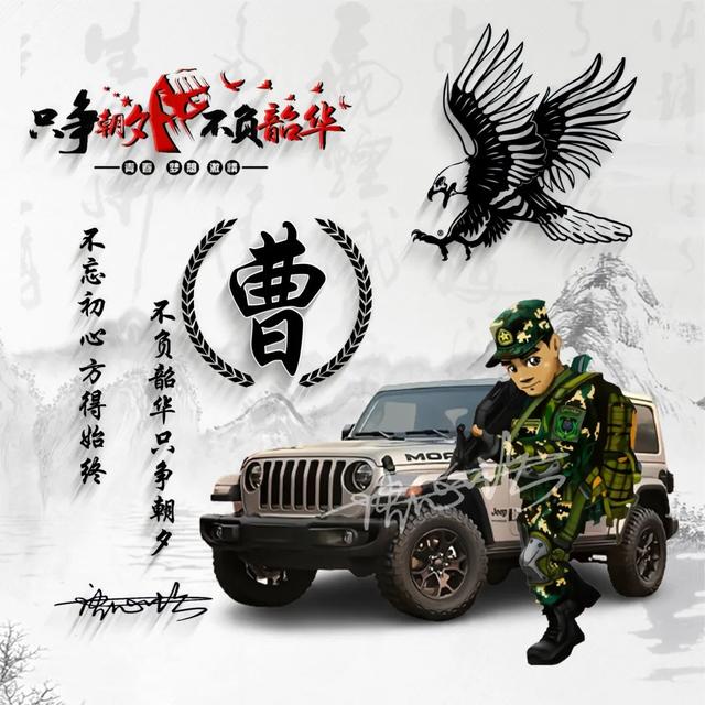 牛马头像微信，牛马头像（60款军人专用头像送给你）