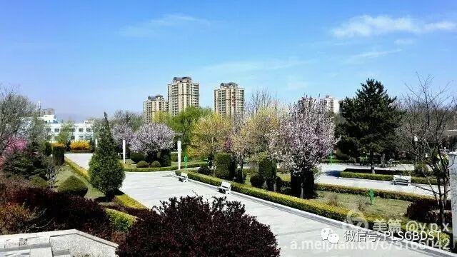南山公园在哪里，深圳大南山公园开放时间（这是你们熟悉的那个南山公园吗）