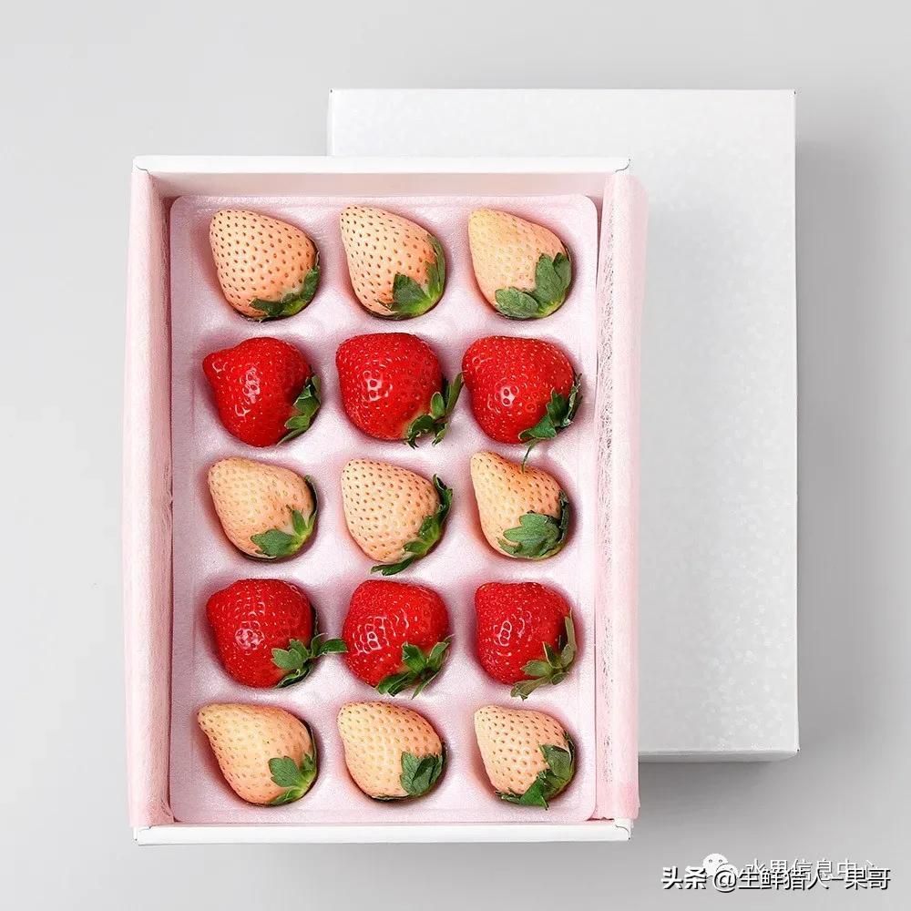 浆果是什么，浆果是什么软件（不同水果的不同包装<浆果篇>）