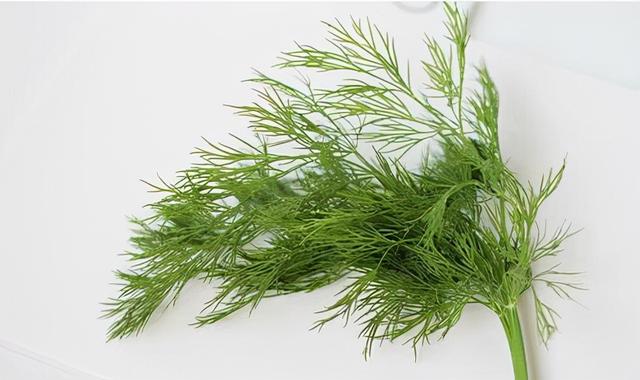 迷迭香是什么，西餐中常用的15种香料和香草（迷迭香是什么时候出的）