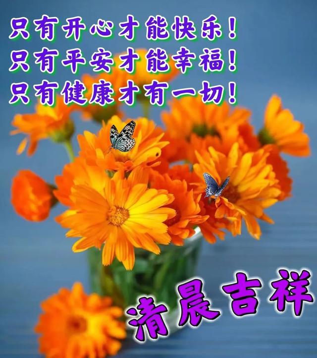 祝福全家的祝福语，2022年春节祝福语全家（直接群发家人朋友的早安祝福语精选大全）