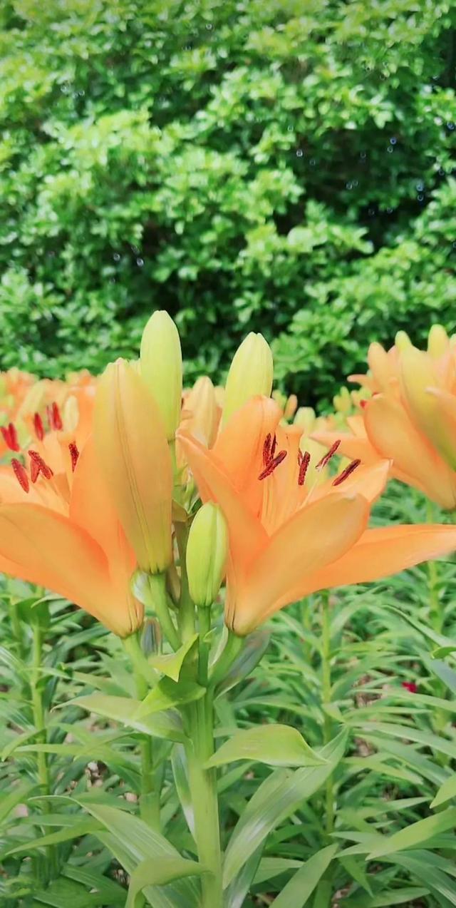 努力的意义是什么，努力的意义是什么图片（女人努力的意义是什么）