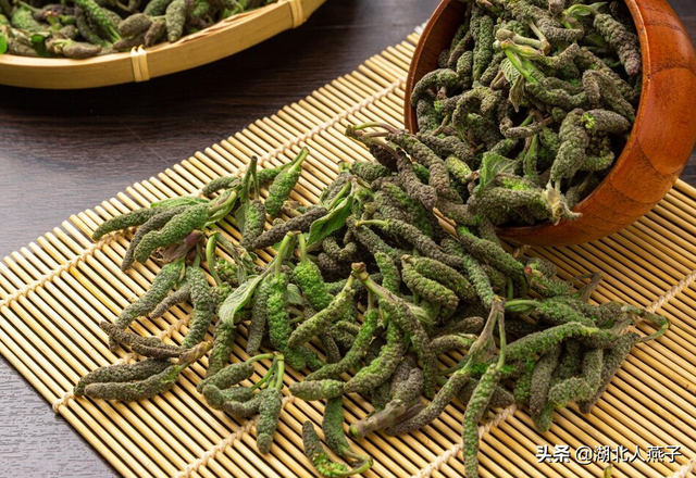 春天能吃的野菜大全，春天都有哪些野菜可以吃（送你63种野菜大图鉴）