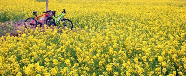 梵净山自驾游攻略，自驾游梵净山旅游攻略（2023年不同假日来梵净山玩啥）