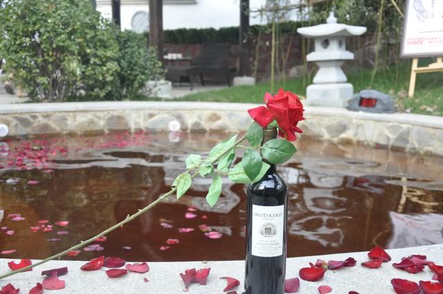 石家庄泡温泉哪里好，石家庄泡温泉哪里好点（元旦小长假石家庄温泉打卡攻略来了）