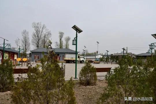 10种代表春天的动物，春天的动物有哪些（塞北动植物们话辛丑牛年时节）