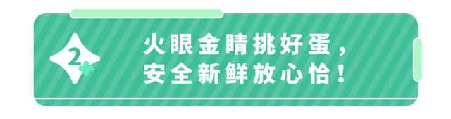 刚孵出来的小鸡怎么养，刚孵化的小鸡怎么养（抽检出抗生素超标）