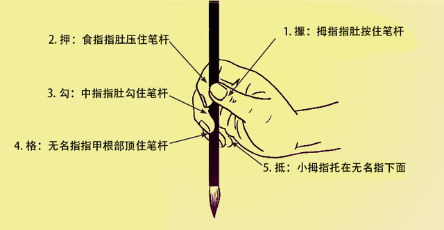 毛笔怎么拿，毛笔书法——执笔与用笔方法