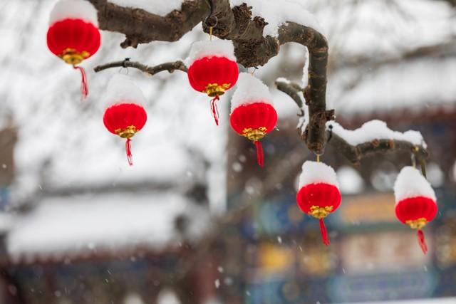 春节预计冷不冷，春节期间冷不冷（大范围大暴雪断崖式降温）