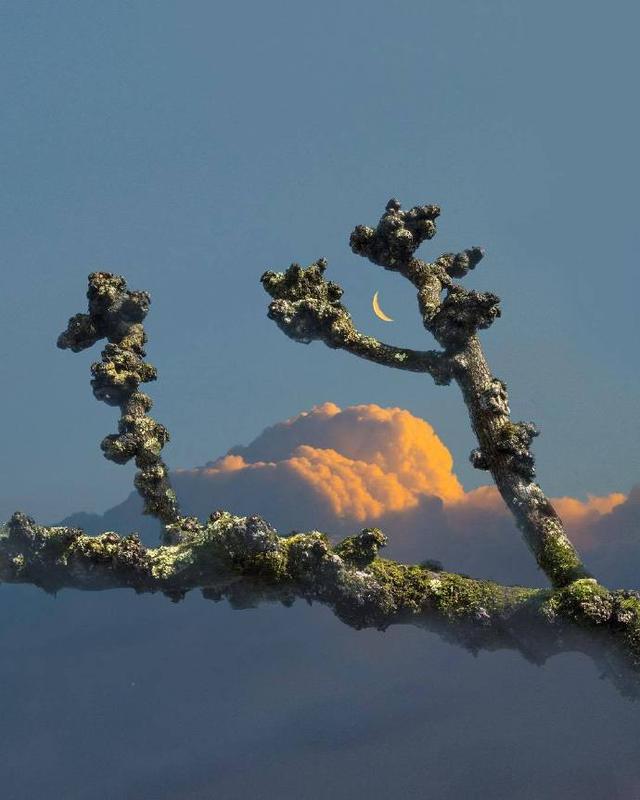 平安幸福的格言，平安是福名言（写给自己保持好心态的人生格言）